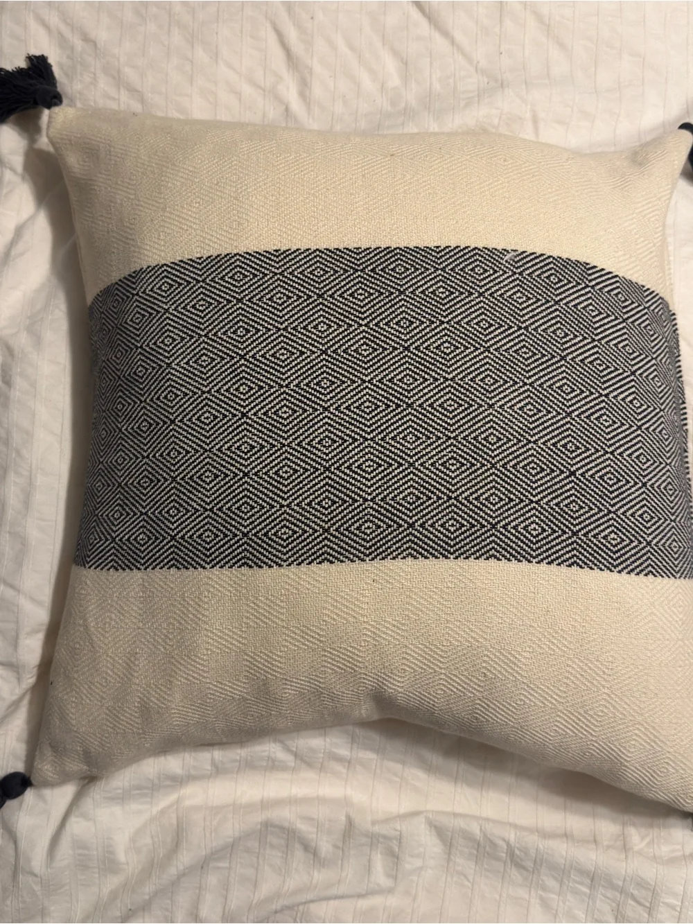 Elements by Erin Gates Neutral & Navy Diamond Throw Pillow Cover Tassels 22 x 22